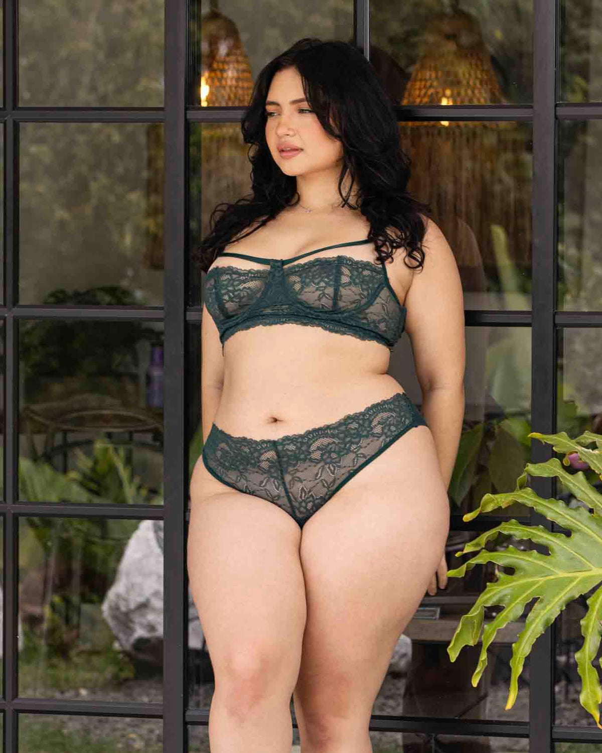 Bra apolonia